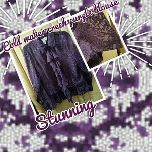 Cold water creek purple blouse nwot!